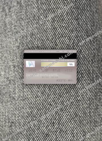 Guinea UBA visa platinum card photolook back